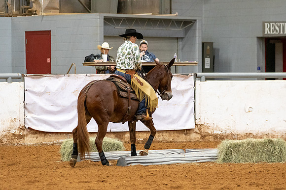Mule&FuturityR2-123