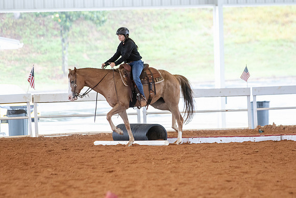 EXCARegionals-1309