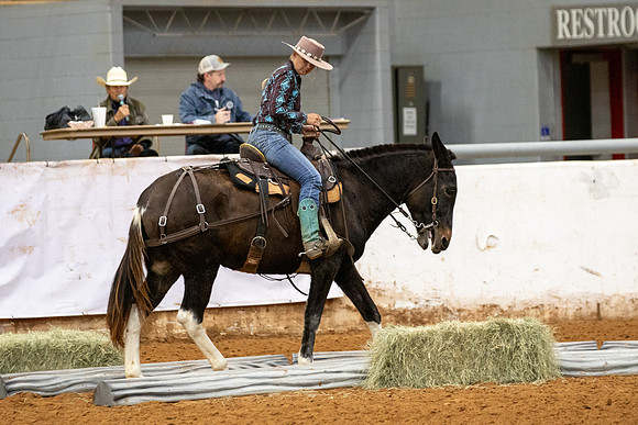 Mule&FuturityR2-204