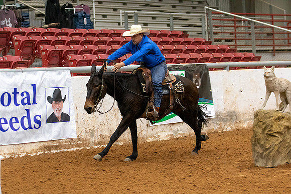 Mule&FuturityR2-89