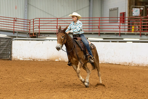 Mule&FuturityR2-11