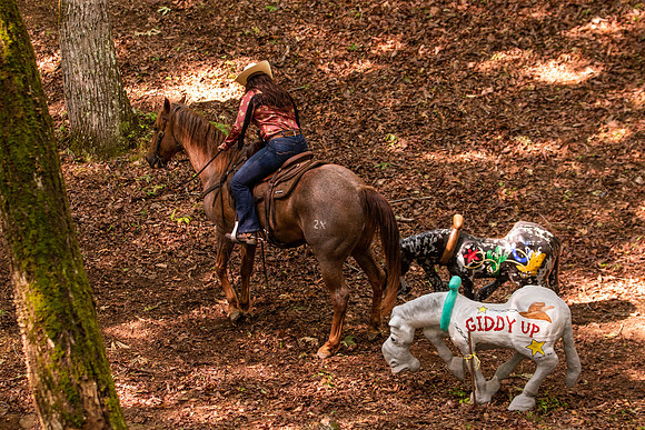 HodgesRace-5107