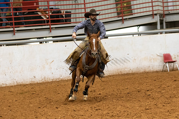 Mule&FuturityR2-410