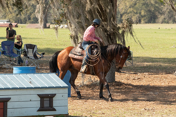 EXCAOcala-8210