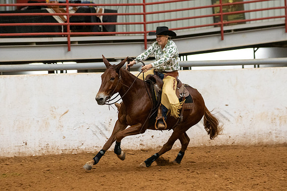 Mule&FuturityR2-133