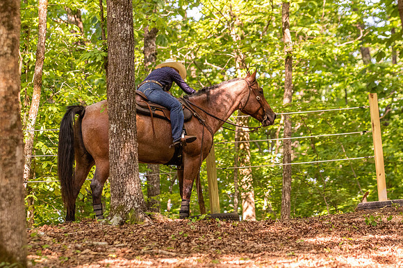 HodgesRace-6551