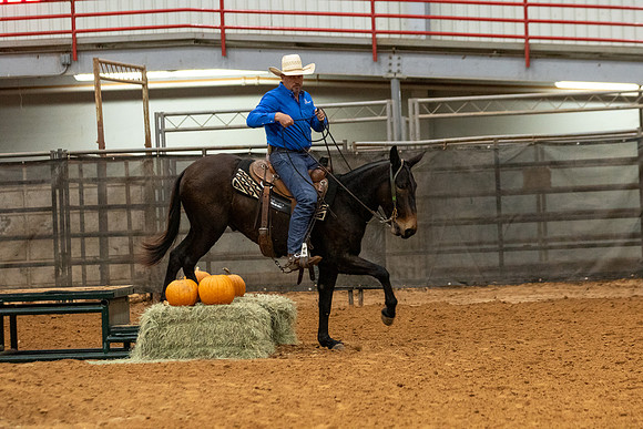 Mule&FuturityR2-81
