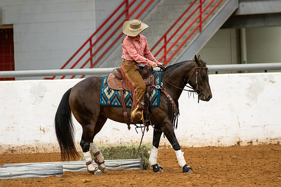 Mule&FuturityR2-278