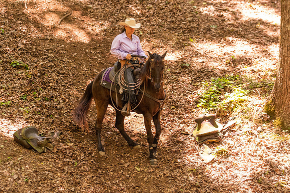 HodgesRace-6033