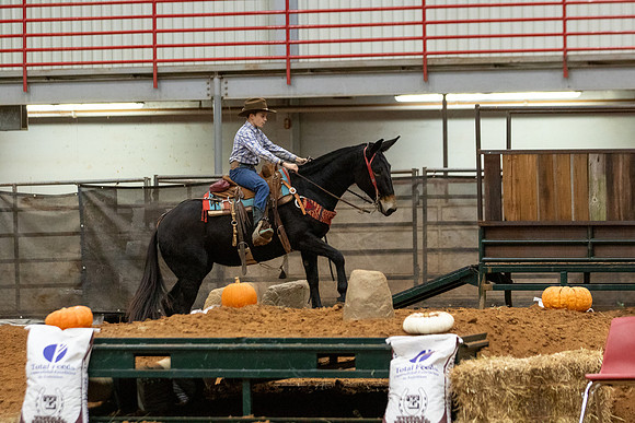 Mule&FuturityR2-56