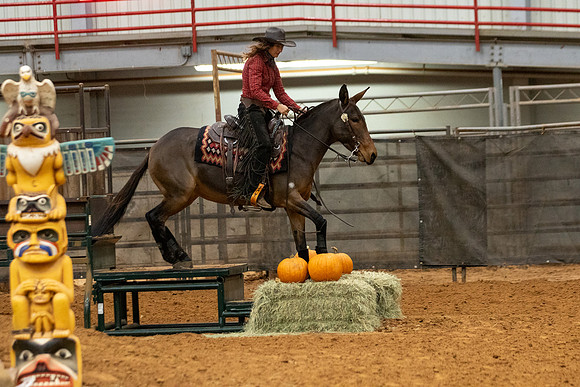 Mule&FuturityR2-102