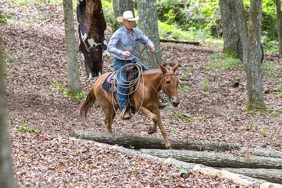 EXCAHodges2024-4414