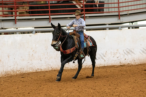 Mule&FuturityR2-65