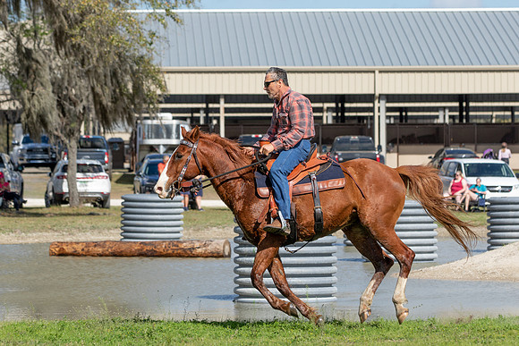 Tim-2831