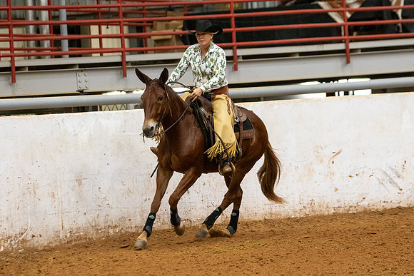 Mule&FuturityR2-119
