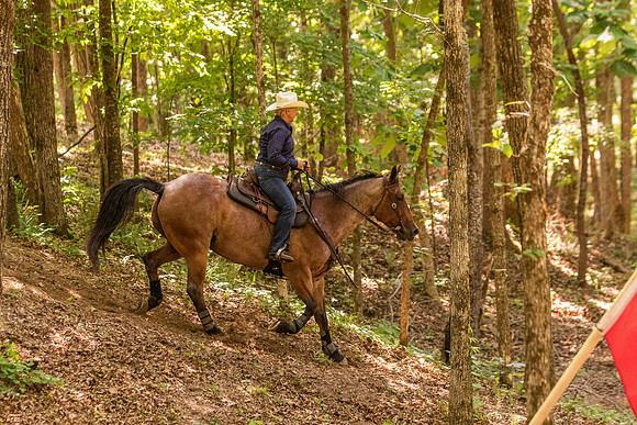 HodgesRace-6534