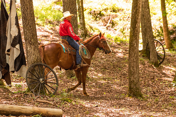 HodgesRace-5686
