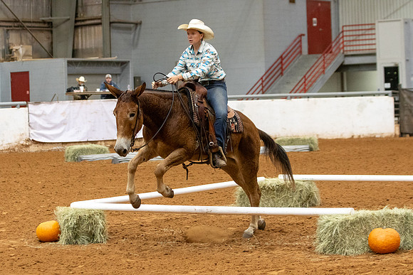 Mule&FuturityR2-15