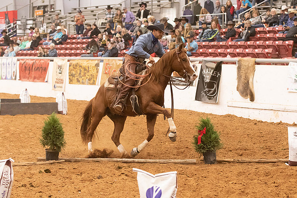 Futurity-2017
