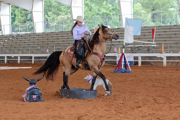 EXCARegionals-2014