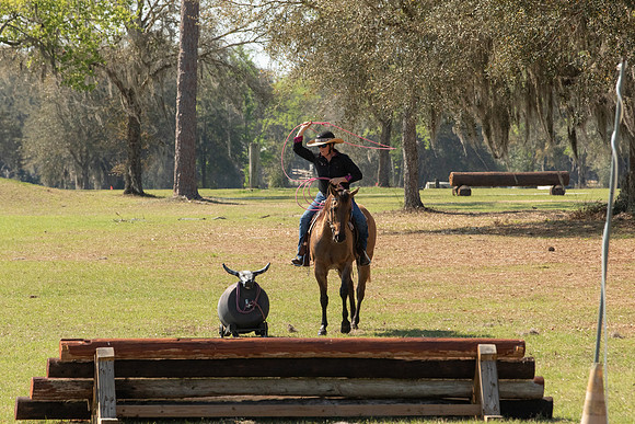 EXCAOcala-8064