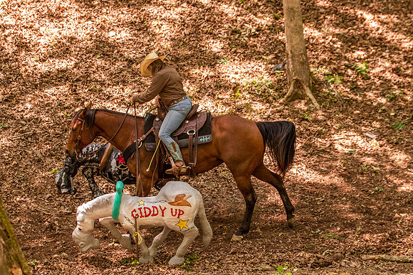 HodgesRace-6103
