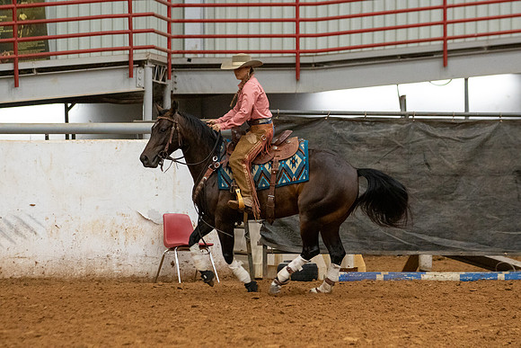Mule&FuturityR2-275