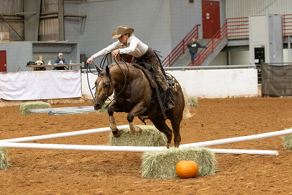 Mule&FuturityR2-329