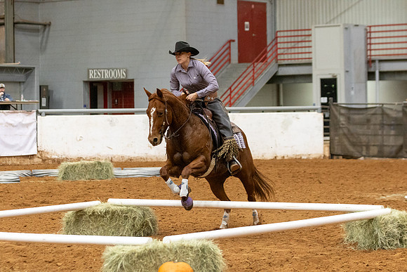 Mule&FuturityR2-509