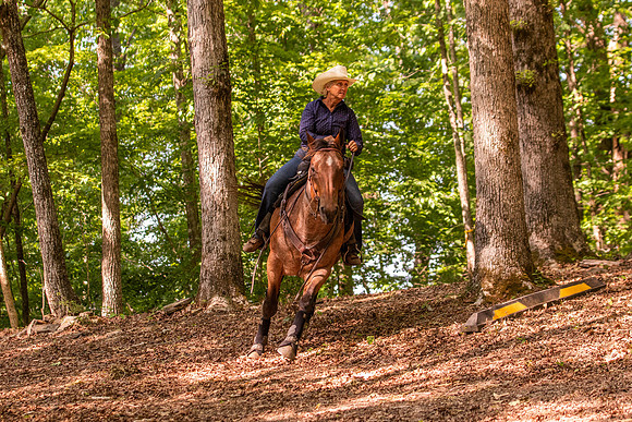 HodgesRace-6519