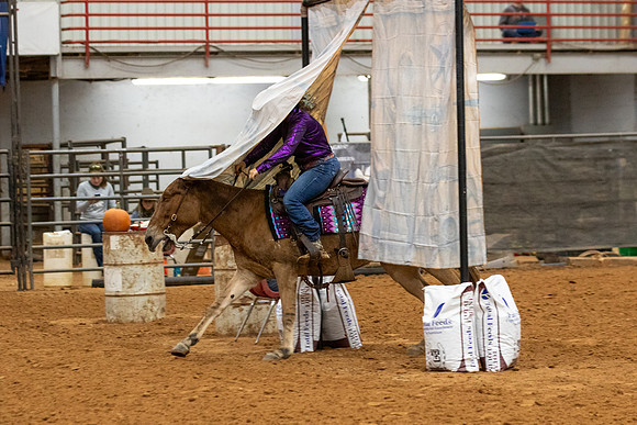 Mule&FuturityR2-238