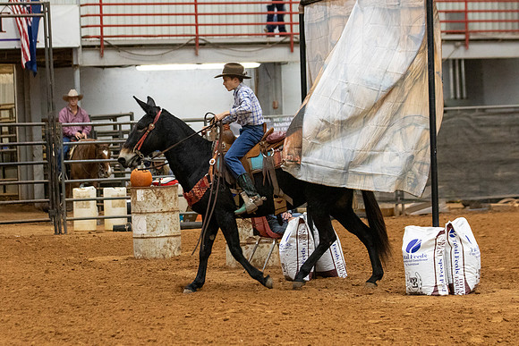 Mule&FuturityR2-68