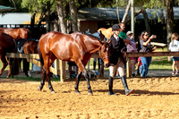 4HArenaWest-0966