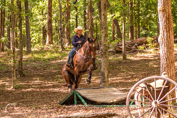 HodgesRace-6536