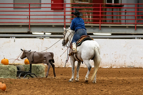 Mustang&MuleR1-346