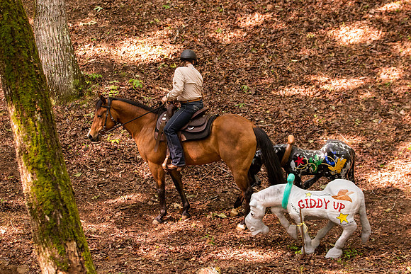 HodgesRace-5070