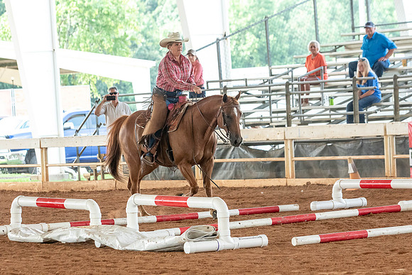 Gainesville-4955