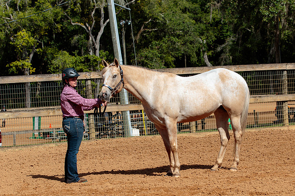 4HArenaWest-1154