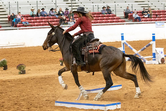 ProFinals-7558