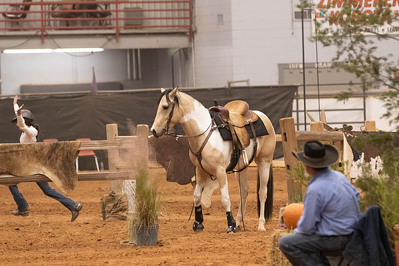 Futurity-6053