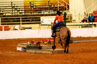 Holly-6111