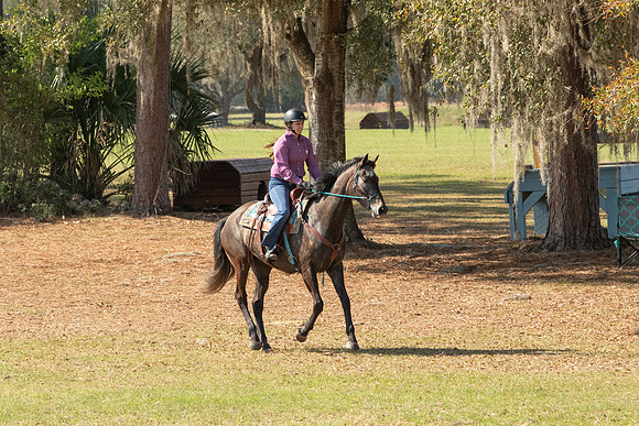 EXCAOcala-8015