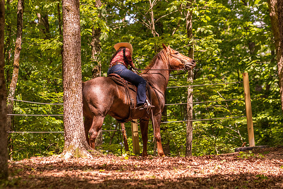 HodgesRace-6267