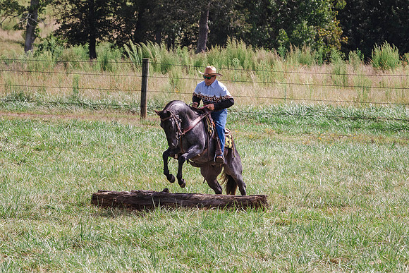 Tim-0949