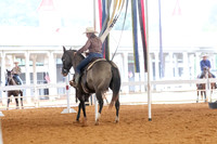 EXCARegionals-435