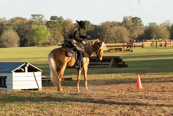 EXCAOcala-9554