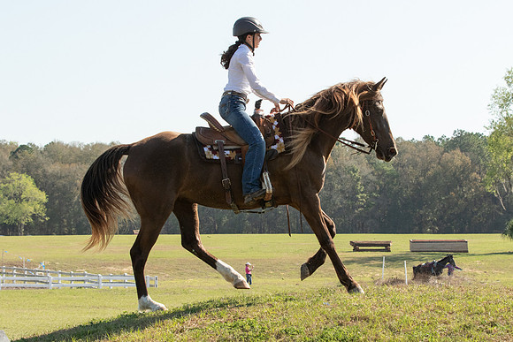 EXCAOcala-7935