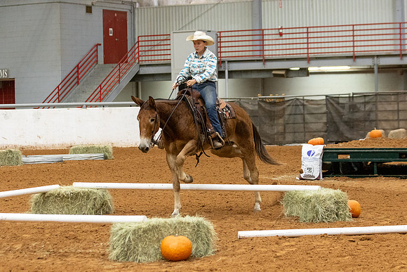 Mule&FuturityR2-14