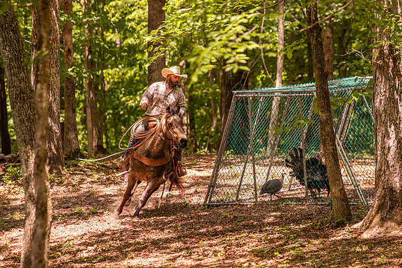HodgesRace-6138
