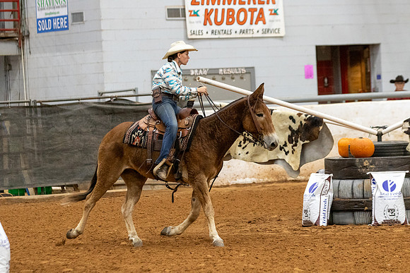 Mule&FuturityR2-16